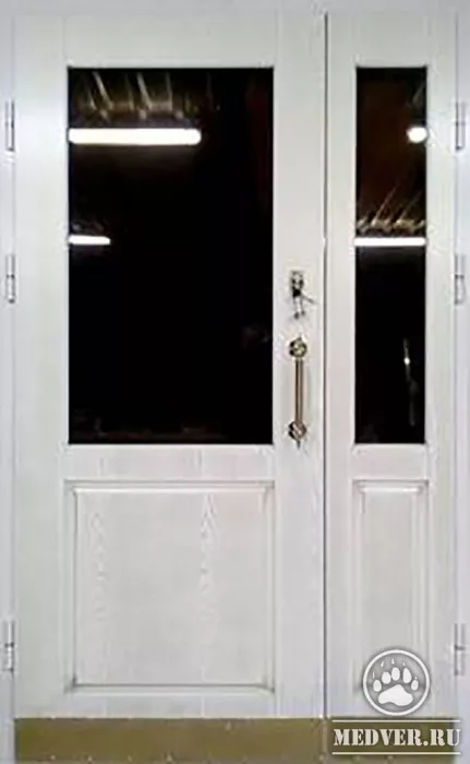 Тамбурная дверь в подъезд-58